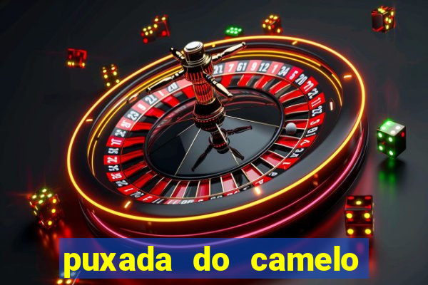 puxada do camelo no jogo do bicho